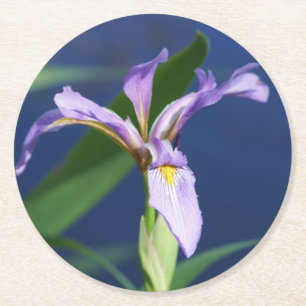 Iris Coasters pack of 6