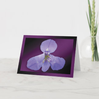 "Iris" - Dark Purple Background GC Card