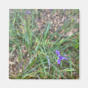 Iris Day Magnet