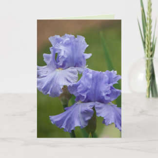 Iris Delight Card