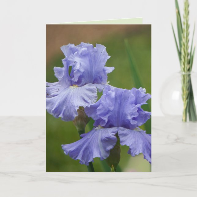 Iris Delight Card (Front)