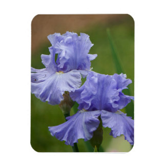 Iris Delight Magnet