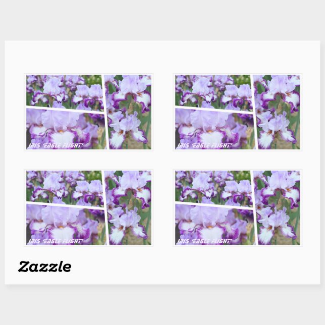Iris ‘Eagle Flight’ [Rectangle Seal] 長方形シール Rectangular Sticker (Sheet)
