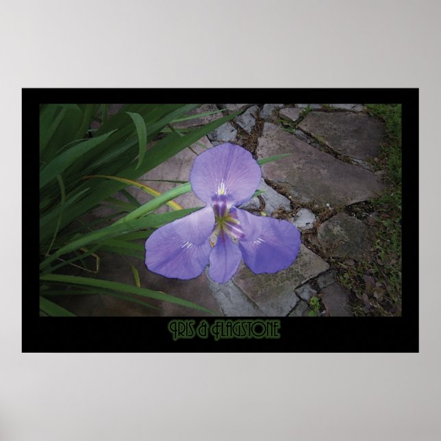 "Iris & Flagstone" - Print (Front)