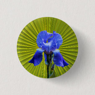 Iris flower 3 cm round badge