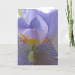 Iris Flower Card