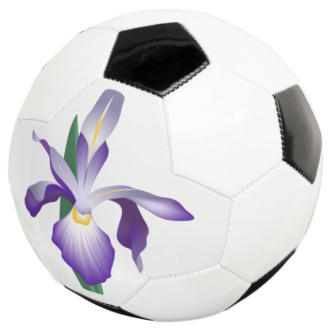 Iris Flower Football (Three Quarter)