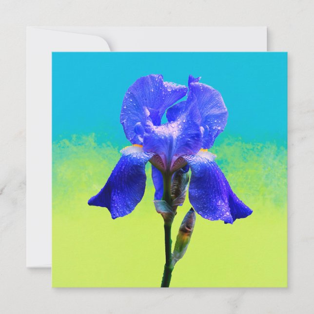 Iris flower  invitation (Front)