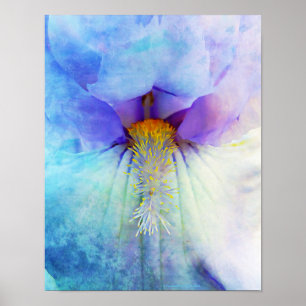 Iris Flower Macro Photographic Wall Art