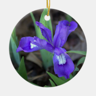 Iris Flower Ornament 