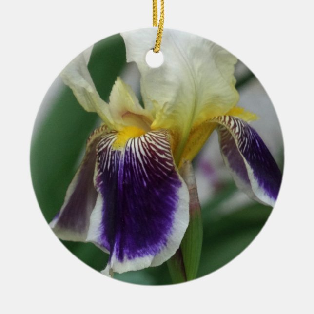 Iris Flower Photo Circle Ornament (Front)