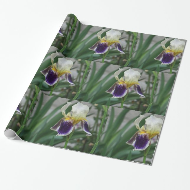 Iris Flower Photo Wrapping Paper (Unrolled)