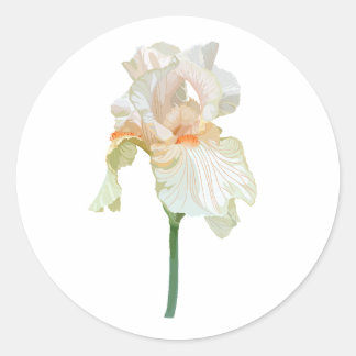 Iris flower, vibrant beige petals. classic round sticker