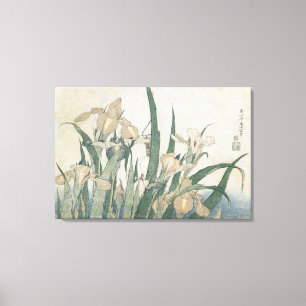 Iris Flowers and Grasshopper, c.1830-31 Canvas Print