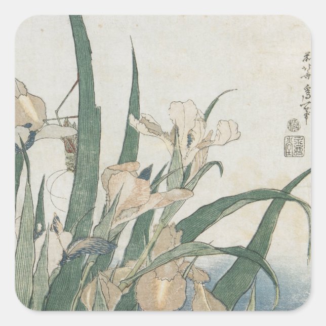 Iris Flowers and Grasshopper, c.1830-31 Square Sticker (Front)
