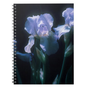 Iris Flowers at Twilight Notebook
