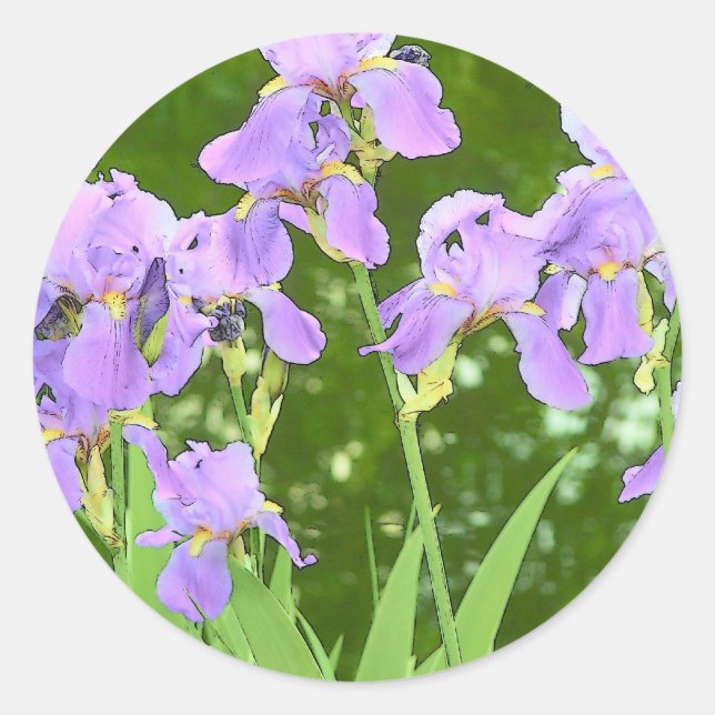 Iris flowers classic round sticker (Front)