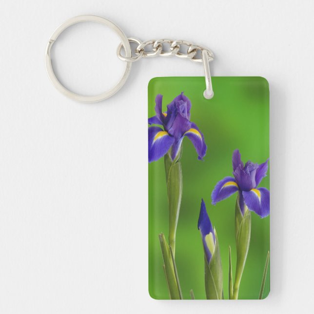 Iris Flowers Key Ring (Front)