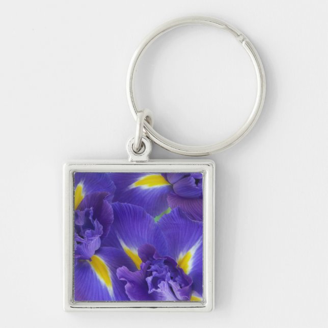 Iris flowers key ring (Front)