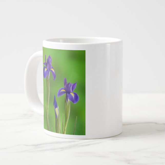 Iris Flowers Large Coffee Mug (Front Left)