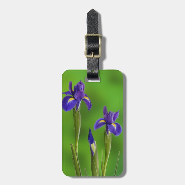 Iris Flowers Luggage Tag (Front Vertical)