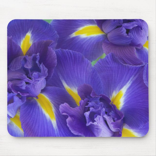 Iris flowers mouse mat (Front)