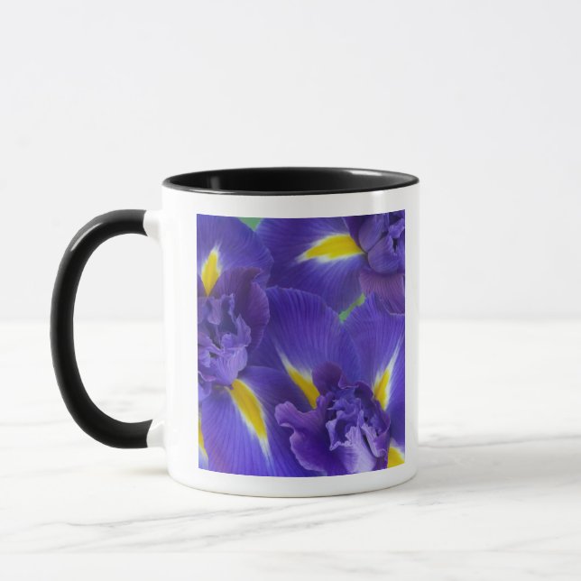 Iris flowers mug (Left)