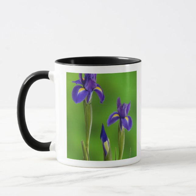 Iris Flowers Mug (Left)