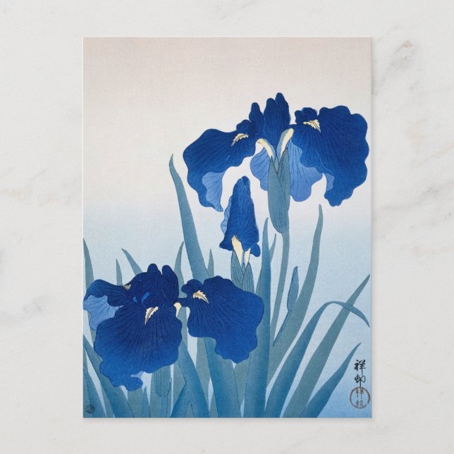 Iris Flowers Painting by Ohara Koson Postcard (Front)