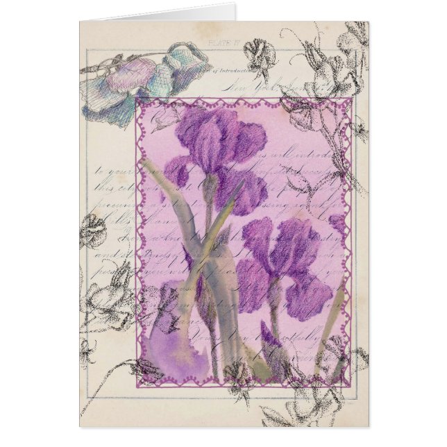 Iris Flowers Plant Victorian Style Collage (Front)