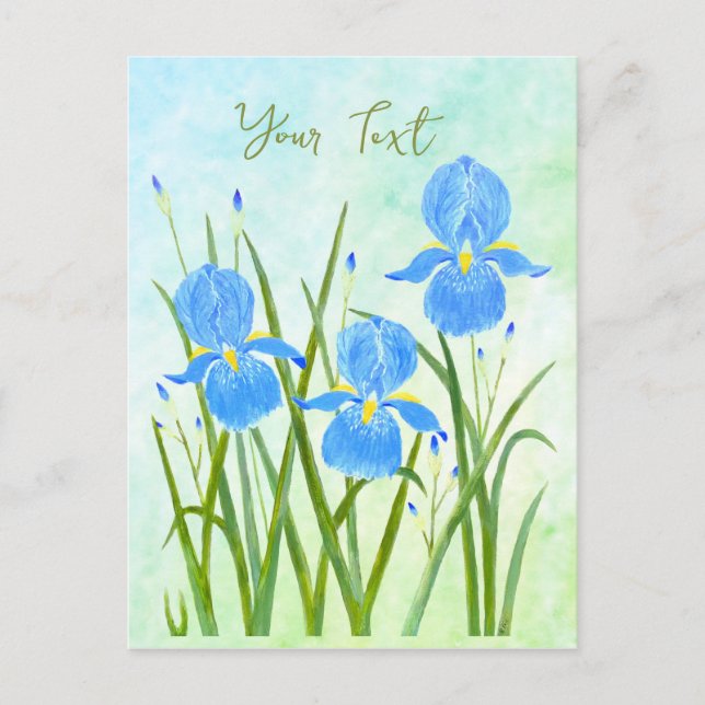 Iris Flowers Postcards (Front)