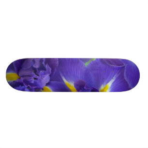 Iris flowers skateboard