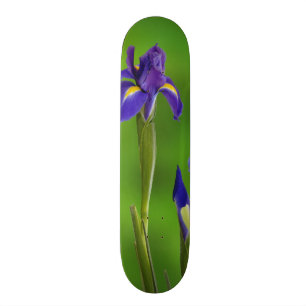 Iris Flowers Skateboard