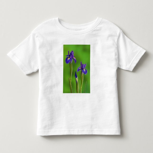 Iris Flowers Toddler T-Shirt (Front)