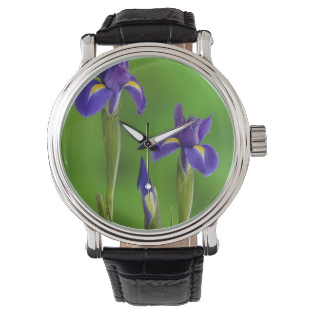 Iris Flowers Watch (Front)