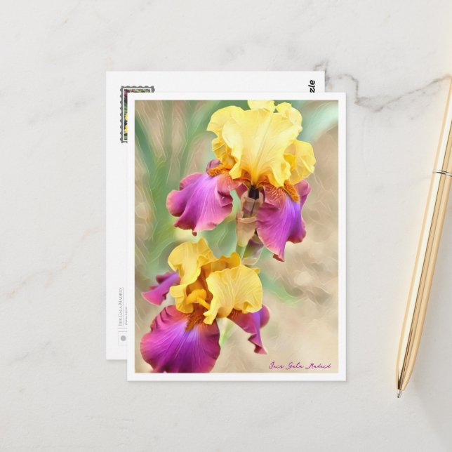 Iris Gala Madrid Postcard (Front/Back In Situ)