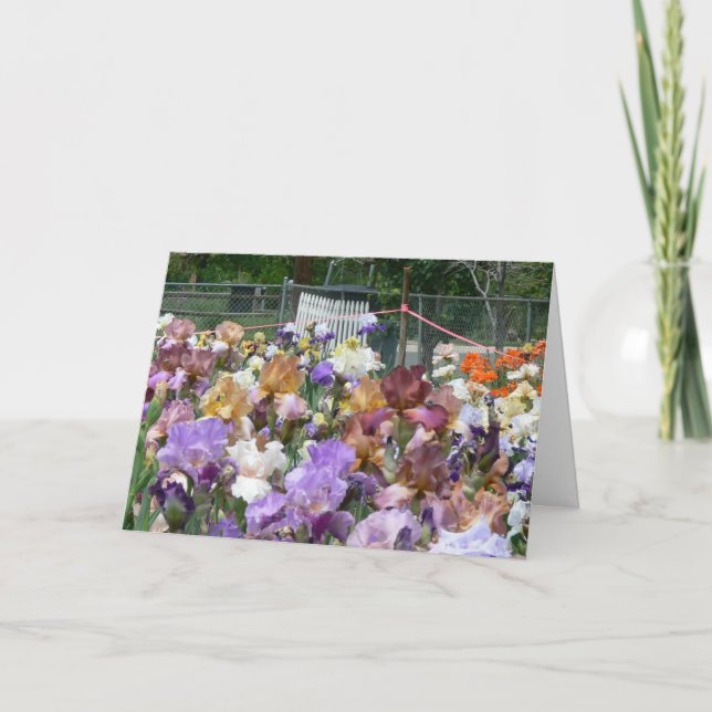Iris Garden Thank You Card (Front)