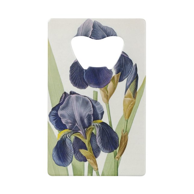 Iris Germanica, from `Les Liliacees', 1805 (Front)