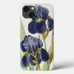 Iris Germanica, from `Les Liliacees', 1805 iPhone 13 Case