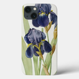 Iris Germanica, from `Les Liliacees', 1805 iPhone 13 Case