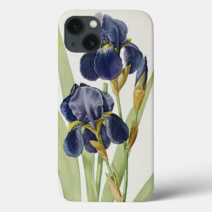 Iris Germanica, from `Les Liliacees', 1805 iPhone 13 Case