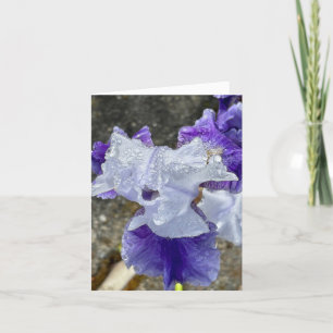 Iris in the Dew Thank You Card
