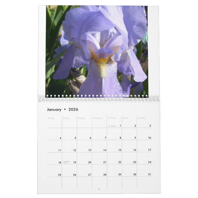 Iris in the Garden Calendar (Jan 2026)