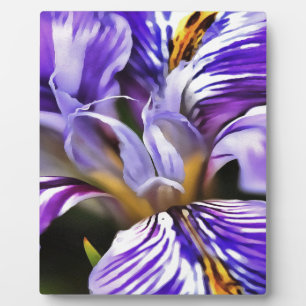 Iris In Violet Lilac and Purple Botanical Art Plaque