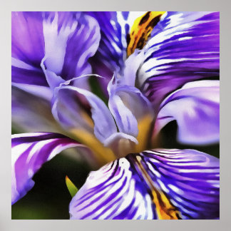 Iris In Violet Lilac and Purple Botanical Art Poster