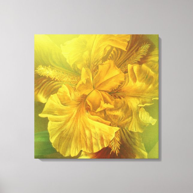 Iris inner beauty warm yellow art square canvas print (Front)