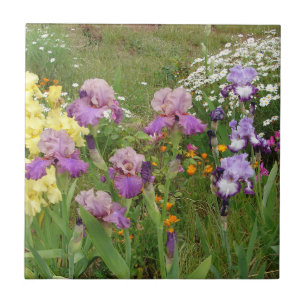 Iris irises floral Flowers Cottage Garden Birthday Tile