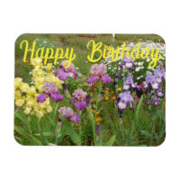 Iris irises floral Flowers Cottage Garden