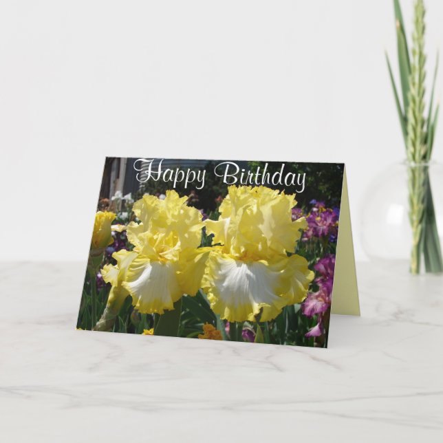 Iris irises floral Flowers Yellow Bearded Flower C Card (Front)