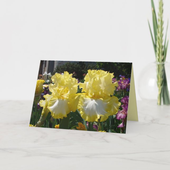 Iris irises floral Flowers Yellow Bearded Flower Card (Front)